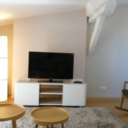 Apartment En Hyper Centre - Jardin Public *